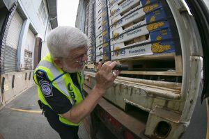 CBP Agriculture Specialist performing a tailgate/backdoor exam. Photo by James Tourtellotte (CBP website)