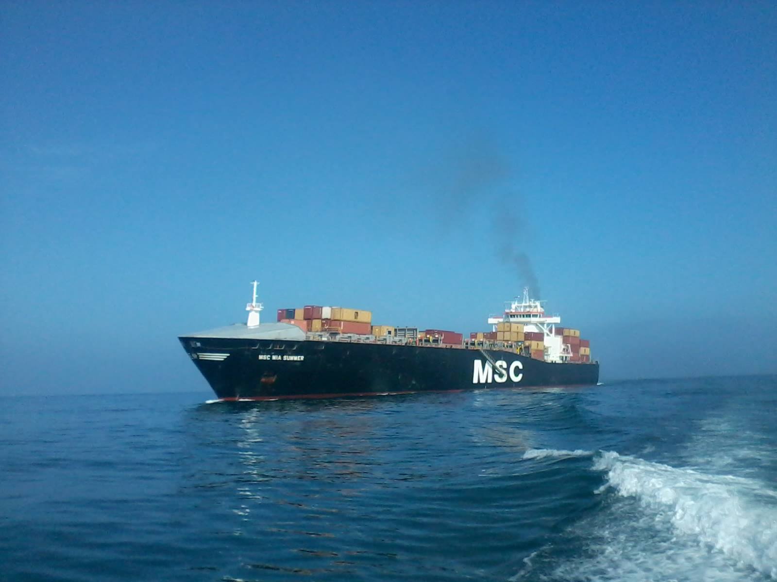 msc mia