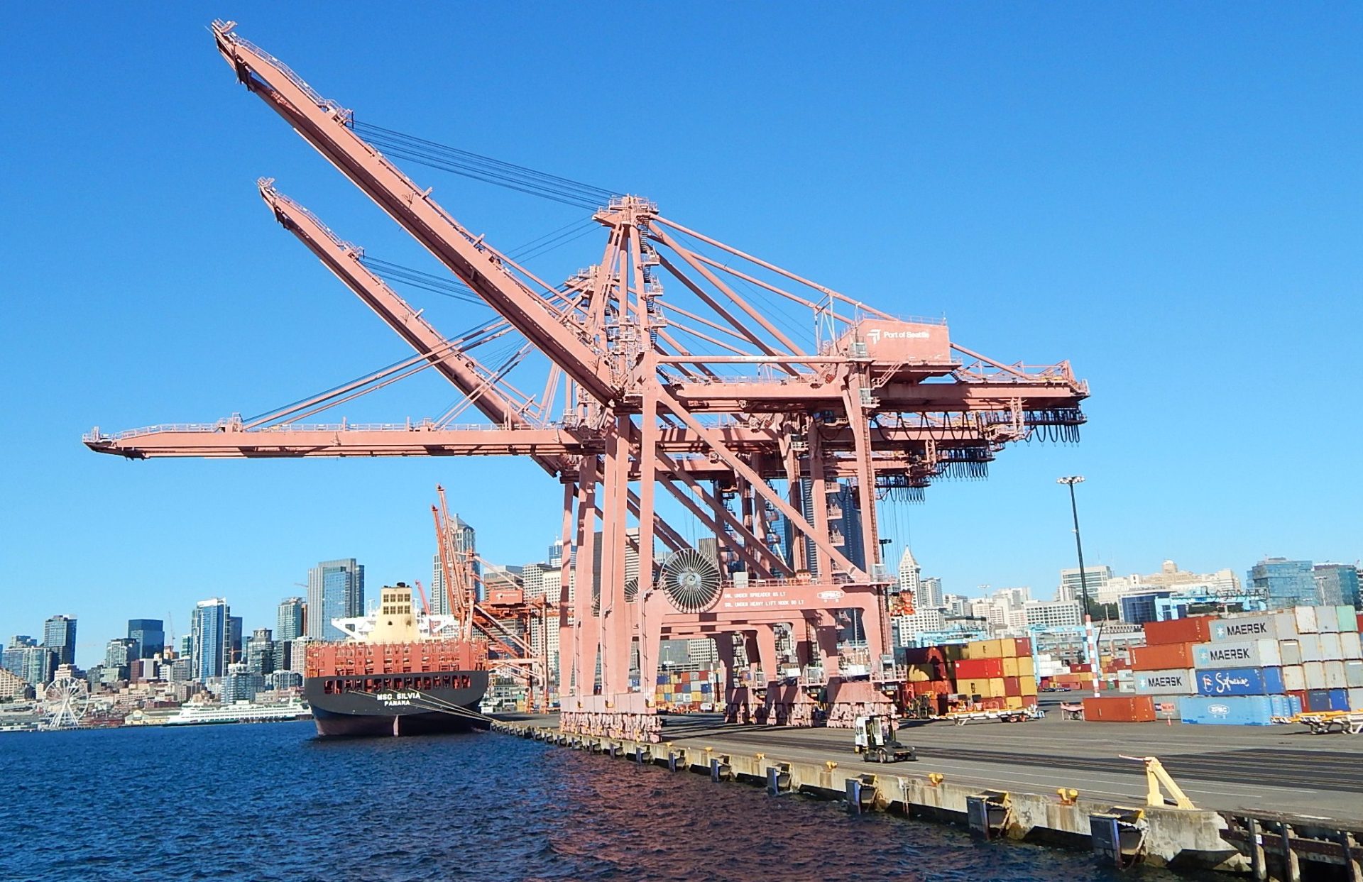 Port of Seattle cranes on a sunny October day