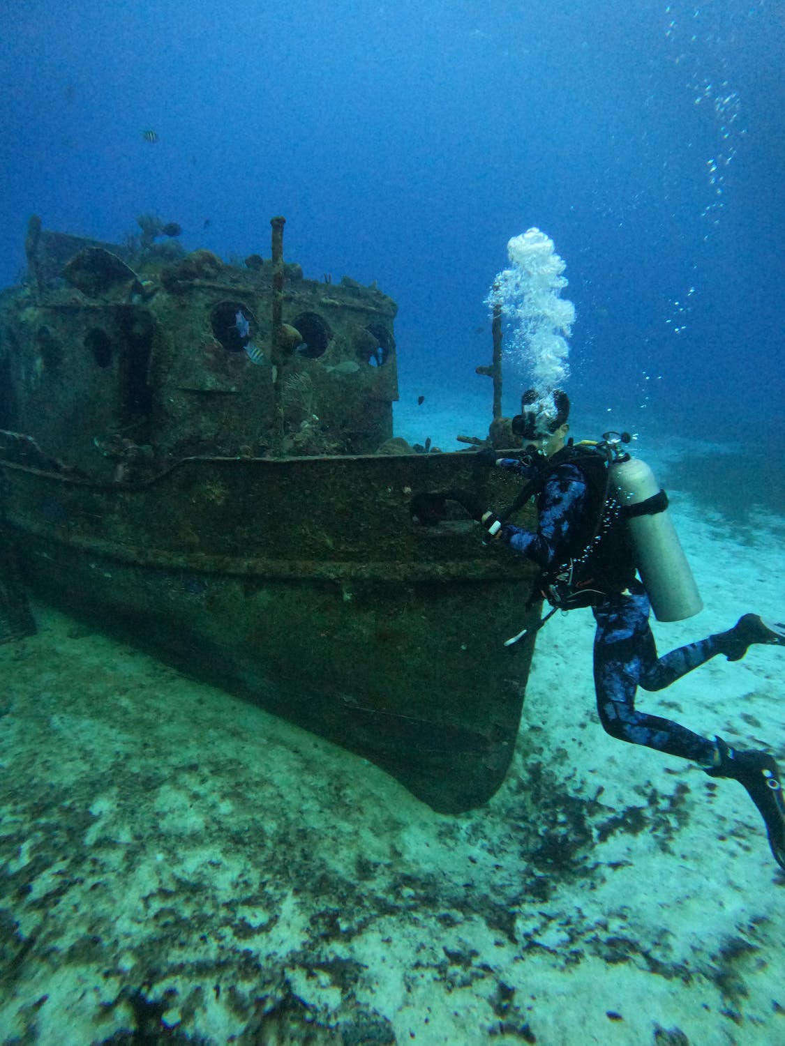sunken ship and scuba diver