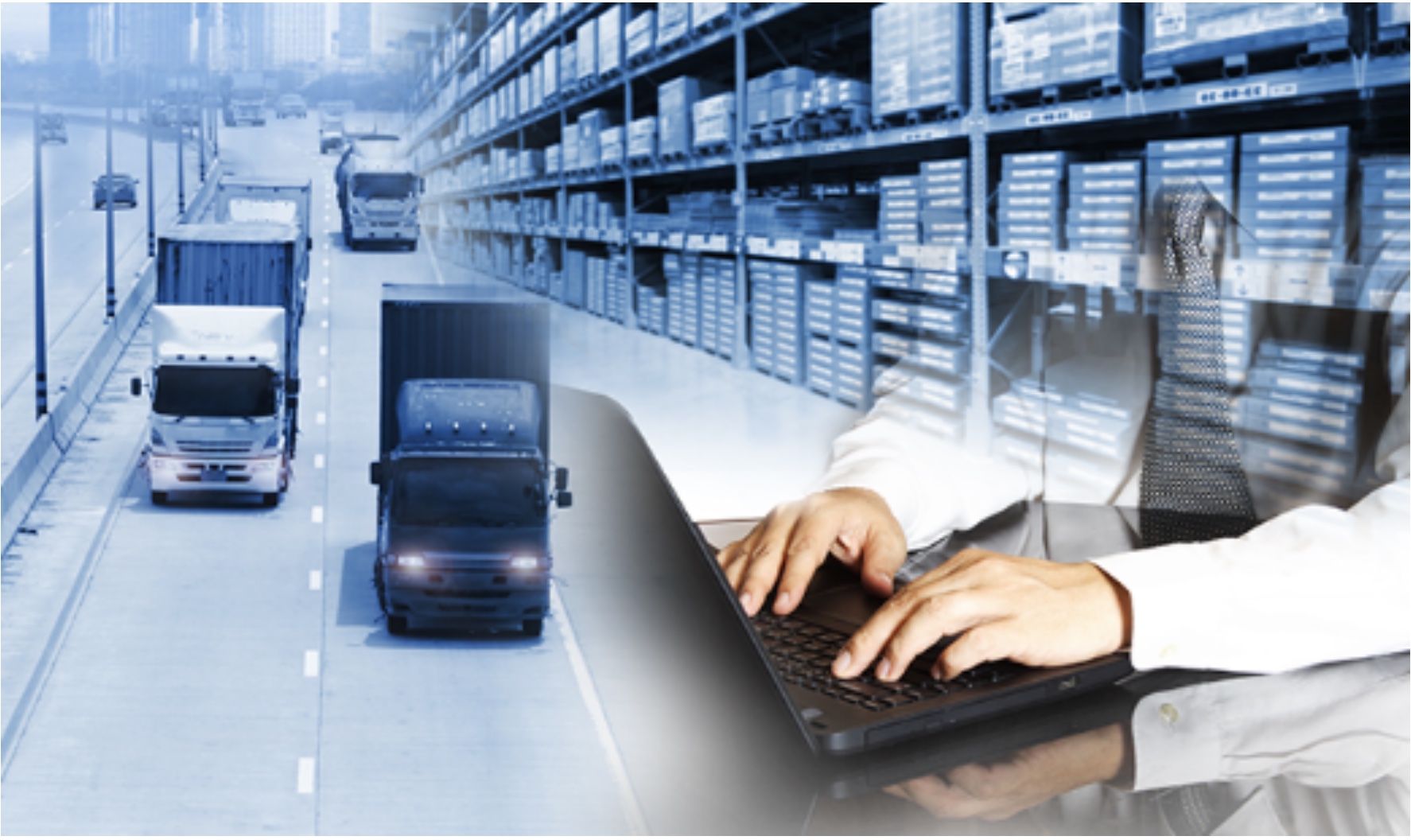 Supply Chain from office to warehouse to trucking and beyond.