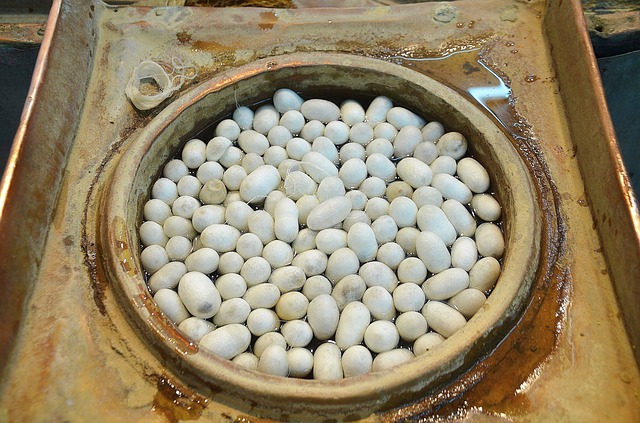 An image of silkworm cocoons.