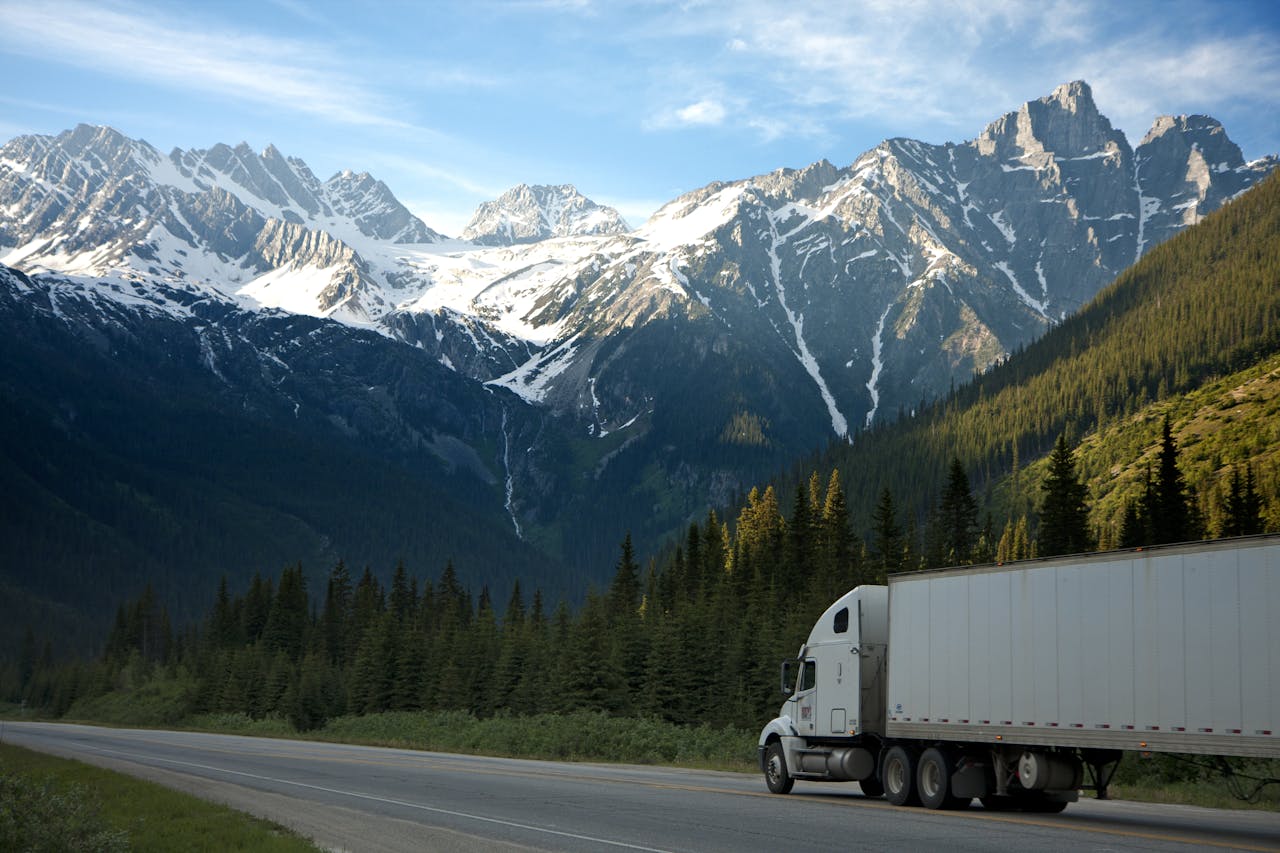 A white truck driving on the road through pine trees during the day.